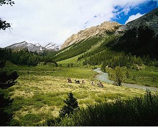 《这个CEO我当定了！》现已正式上线！！首发35.1元