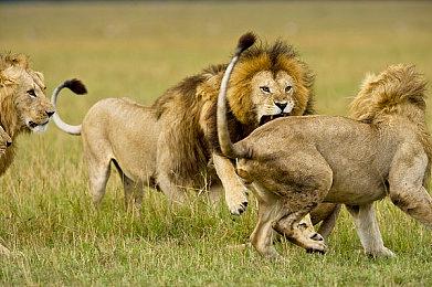 经典街机重制合集《IGS经典合集》发售 内含《西游释厄传》8款童年回忆